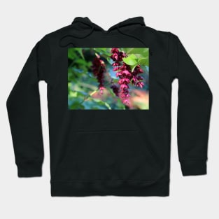 Pheasant Berry Hoodie